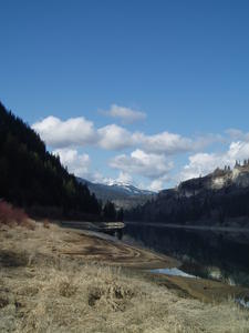 Two Eagles in Courtship Flight (click photo to see them)
