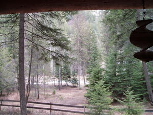 View from the front porch. Quiet and secluded in the woods.