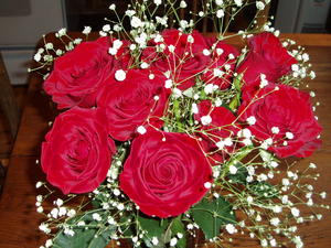 The roses were prettier each day!