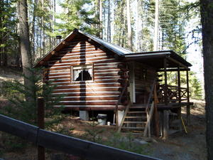 The cabin with the sun shining on it through the trees.
