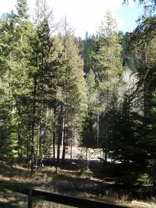 A sunny view from the front porch.