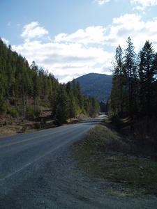 The view from their driveway.