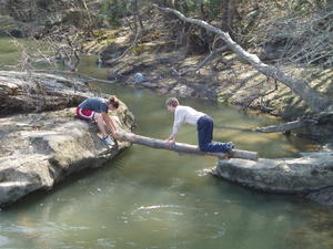 Daniel's turn to cross.