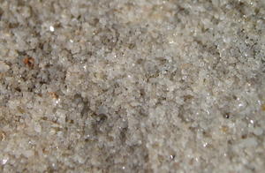 Close up view of that rock--on macro mode.