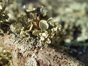 Even the little things are intriguing!