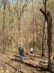 This time our hiking consisted of exploring the woods--partly without trails.