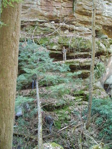 Levi climbing around (Daniel is hiding in the photo too).