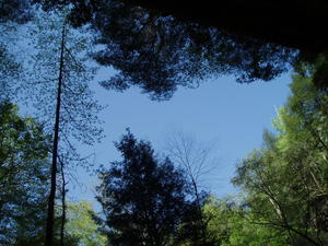 View of the sky from under the huge rock shelter that Yahoo Falls falls down from.