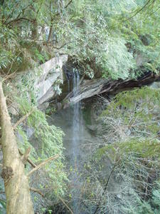 Vew from the top of the falls.