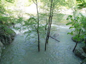 Looking down below at the swimming area... it's fully flooded!