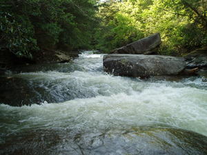 The little creek that we normally can hop across to the other side... is a raging stream!