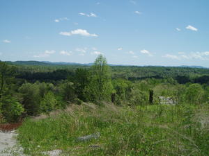 View from the road near our house. The spring view is so pretty after all the leaves come on the trees!