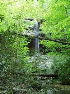 First time we've gone further down the creek to get a far-away shot of the entire falls. 