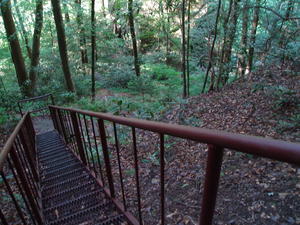 One of the staircases at Yahoo Falls.