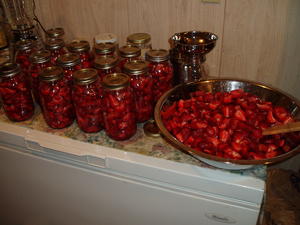 Strawberry picking and freezing was a lot of fun this year! We did two days of picking and freezing and ended up with a nice supply. So thankful for Susan's help picking and Justina's help cutting!