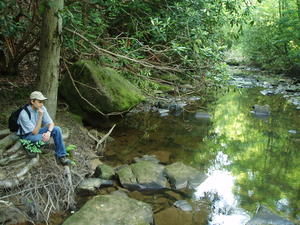 On Sabbath we hiked out to Dog-Slaughter Falls again, to see the wildflowers, and because there would be water to cool off at the end of the trail.