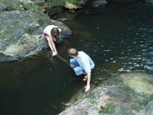 Can Daniel make it across the slippery "bridge"?