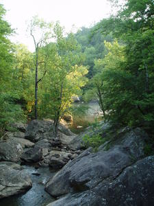 Peaceful view of the Cumberland River.