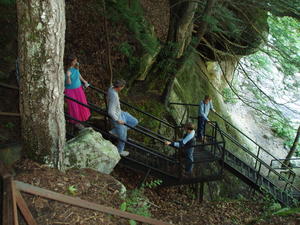 Baxter did NOT want to go down the staircase! (He finally took his own route down the slope)