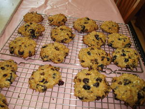 Kristina also experimented with gluten-free plantain-blueberry cookies--a total success! No leavening, no oil, and the lightest, fluffiest cookie you ever ate!
