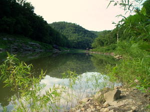 This was our view for the afternoon. The only sounds were the river gently flowing by and the birds singing. Such bliss! The water was warm and the air was hot--perfect for swimming. :)