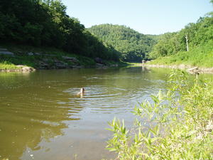 Daniel swimming in the picturesque river--Big South Fork.