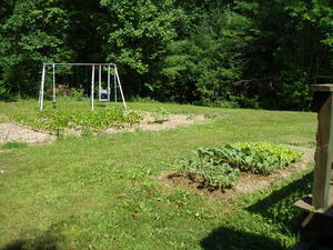And here's another look at the backyard gardens. Gives you an idea of where things are. :) 