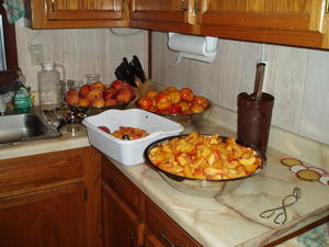 July was a full month! Levi went back home, so Daniel and I had a week to can peaches, green beans, and freeze corn!