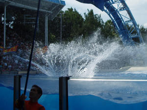 Yes, we were sitting in the splash zone, so we got the next splash (Kristina shut the camera off just in time to get drenched!)