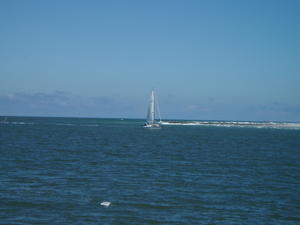 Sailboats going by