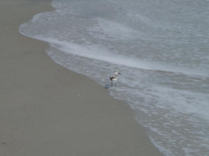 After the wedding, we decided to spend some time at the beach.