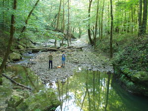 Lucas and Jimmy taking pictures