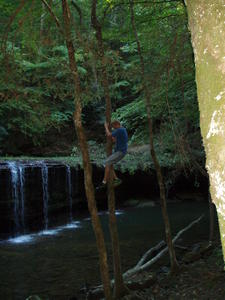 Jimmy climbing the tree