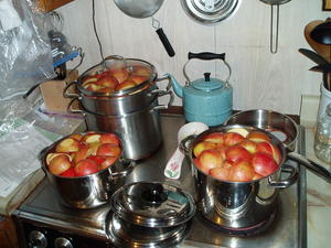 Time for applesauce!