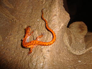 Some of their interesting findings...