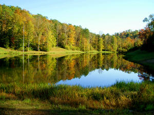 The next Sabbath, we spent at the Klingbeil's house and walked around their place.