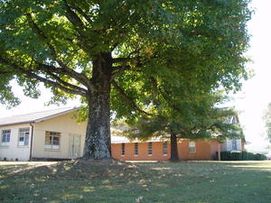 Yes, another trip! This time to Savannah, TN to help with a friend's wedding. Kristina was the wedding coordinator.