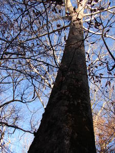 And that's what it looked like at the top.