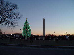 Christmas Tree (yes, it's real) with Washington Monument in the background just as the last bit of sun gleamed on the horizon.