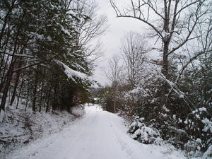 Our driveway, looking down at our house at the bottom.