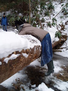 A few candid shots of us climbing around... here's Kristina trying to climb over a log....