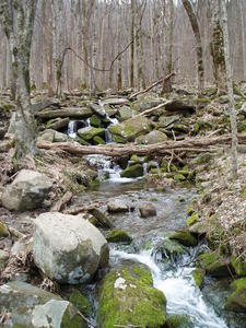Some of the waterfalls along the road.