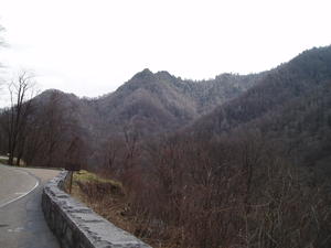 There was a light snowfall on the trees, making this mountain have a "silvery" tone.