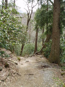 One of the trails that we hiked along the way.