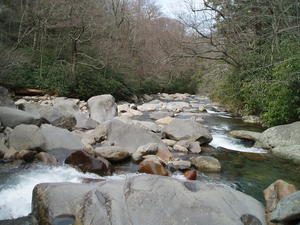 A river we hiked down to.