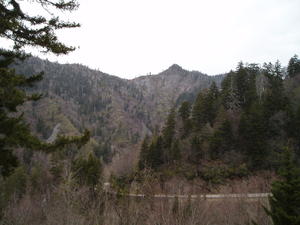 View of a shale slide on the distant mountain.
