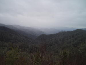 On our way back to our cabin, we got to watch as the mountains slowly disappeared in the thick clouds.