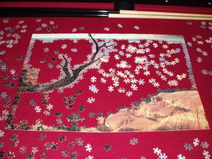 We had a lot of fun putting our puzzle together, besides watching our wedding DVD, soaking in the hot tub on the back porch, and working on our wedding photo album.
