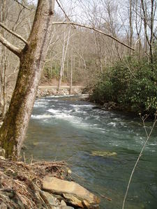 Monday morning, the sun finally came out again, so we headed to Cade's Cove.