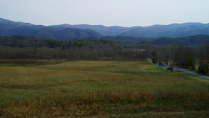 Another viewpoint. The color variations in the grass are so pretty!